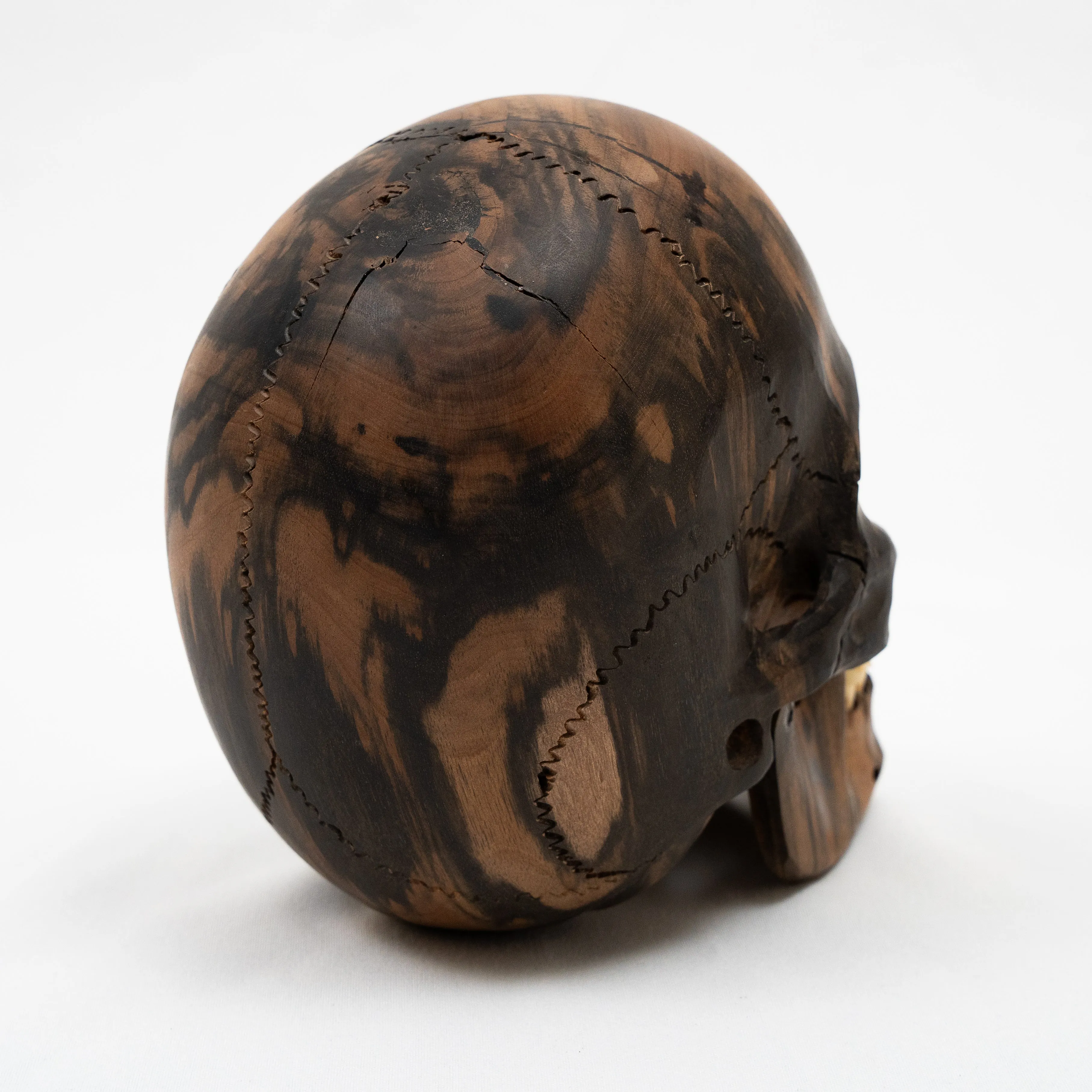 Black Ebony Wood Skull - Large 6" Hand Carved Human Skull Replica Skeleton Head