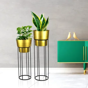 Exquisite Gold Planters - (Set of 2)