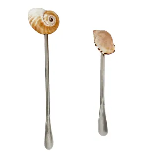 Exquisite Shell Stirring Spoon Set