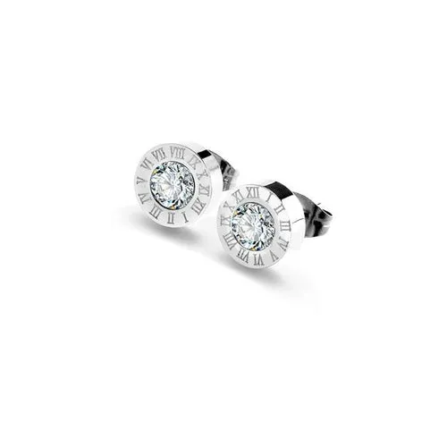 Exquisite Zircon Stainless Steel Stud Earrings For Women