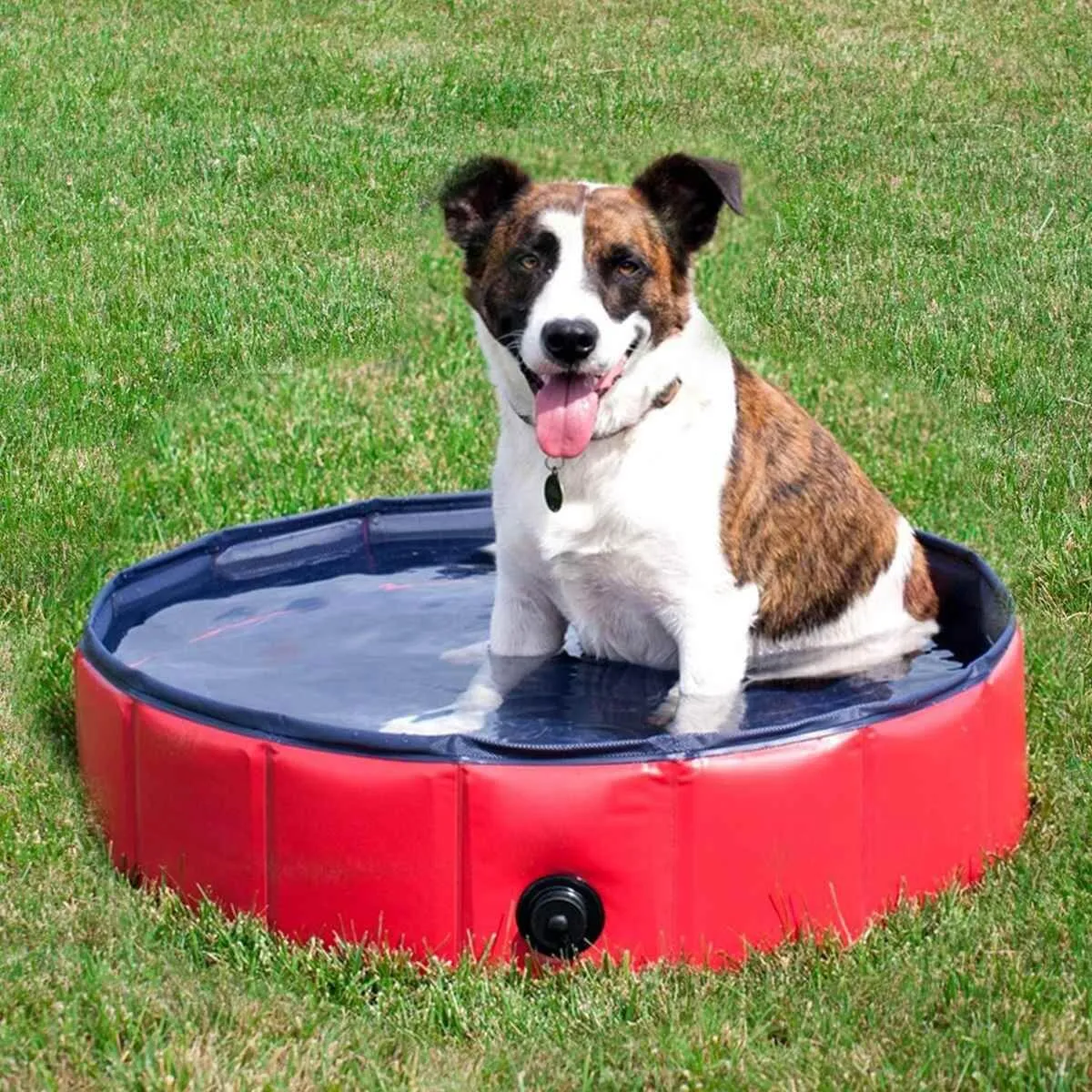 Foldable Pet Bath Pool