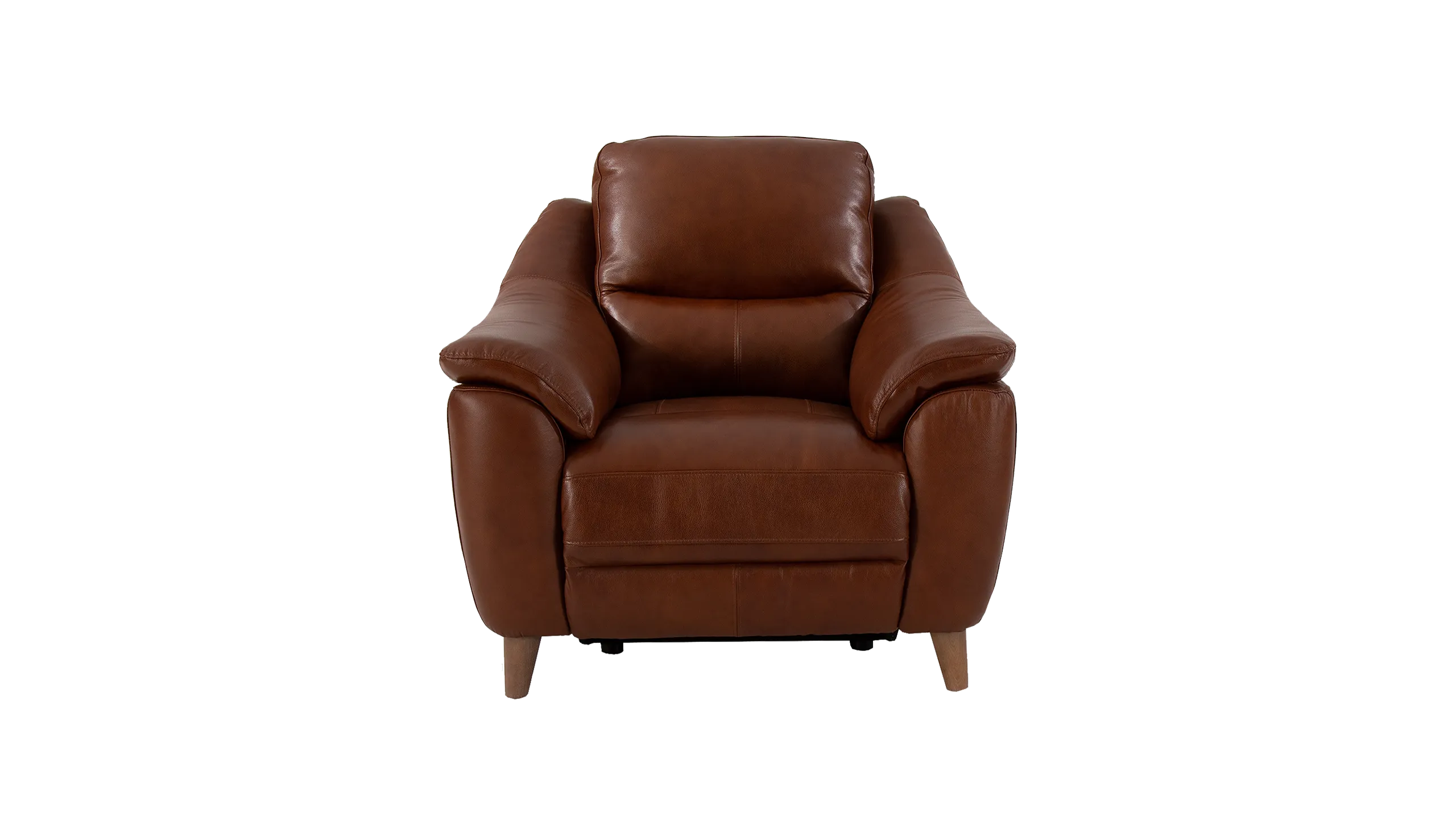 Francis Power Recliner Leather Armchair