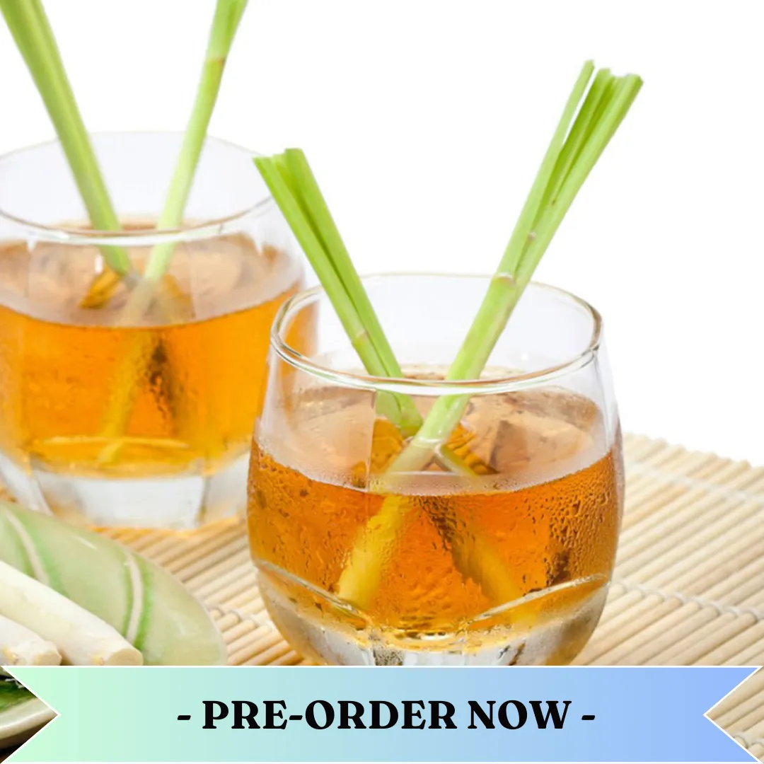 Lemongrass Tea Fragrance Oil Pre Order