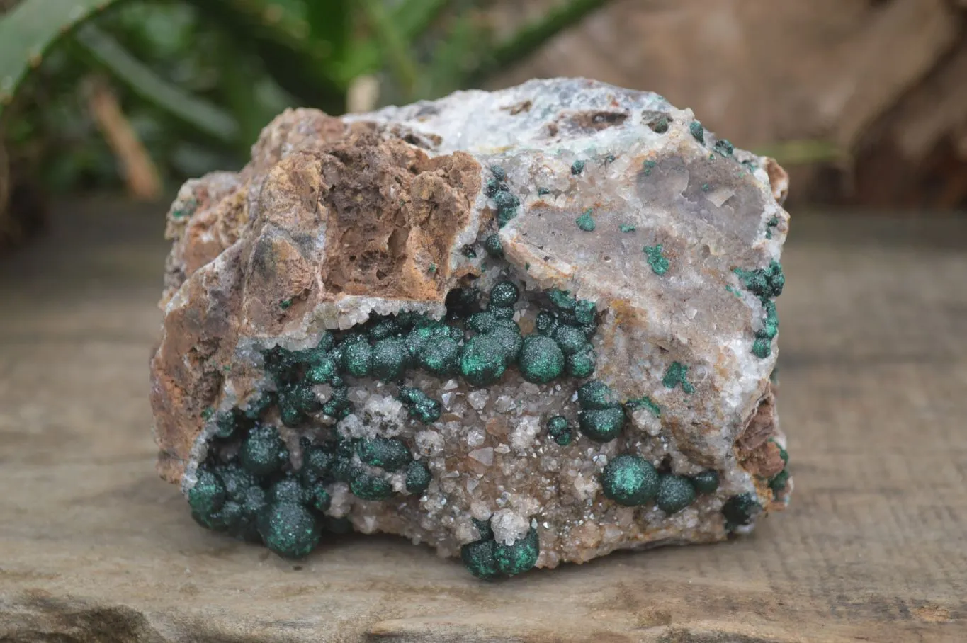 Natural Ball Malachite with Drusy Quartz on Dolomite Matrix Specimens x 2 From Mindingi Mine, Kambove, Congo