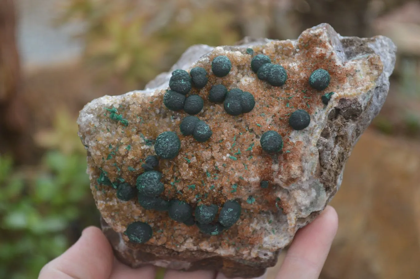 Natural Ball Malachite with Drusy Quartz on Dolomite Matrix Specimens x 2 From Mindingi Mine, Kambove, Congo