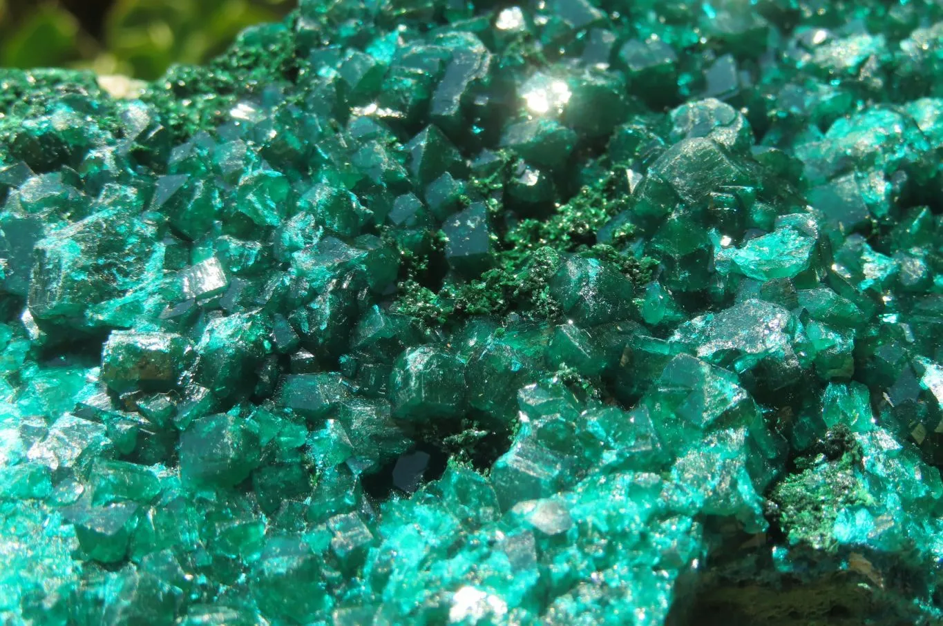 Natural Dioptase Cabinet Specimen x 1 From Reneville Brazzaville, Congo