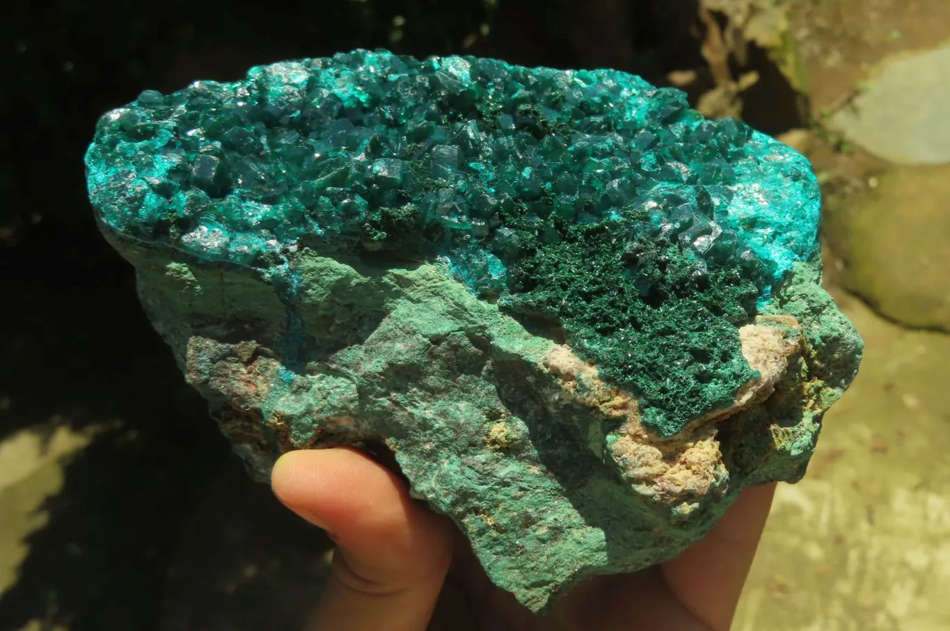 Natural Dioptase Cabinet Specimen x 1 From Reneville Brazzaville, Congo