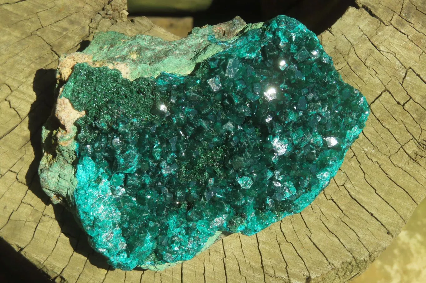 Natural Dioptase Cabinet Specimen x 1 From Reneville Brazzaville, Congo