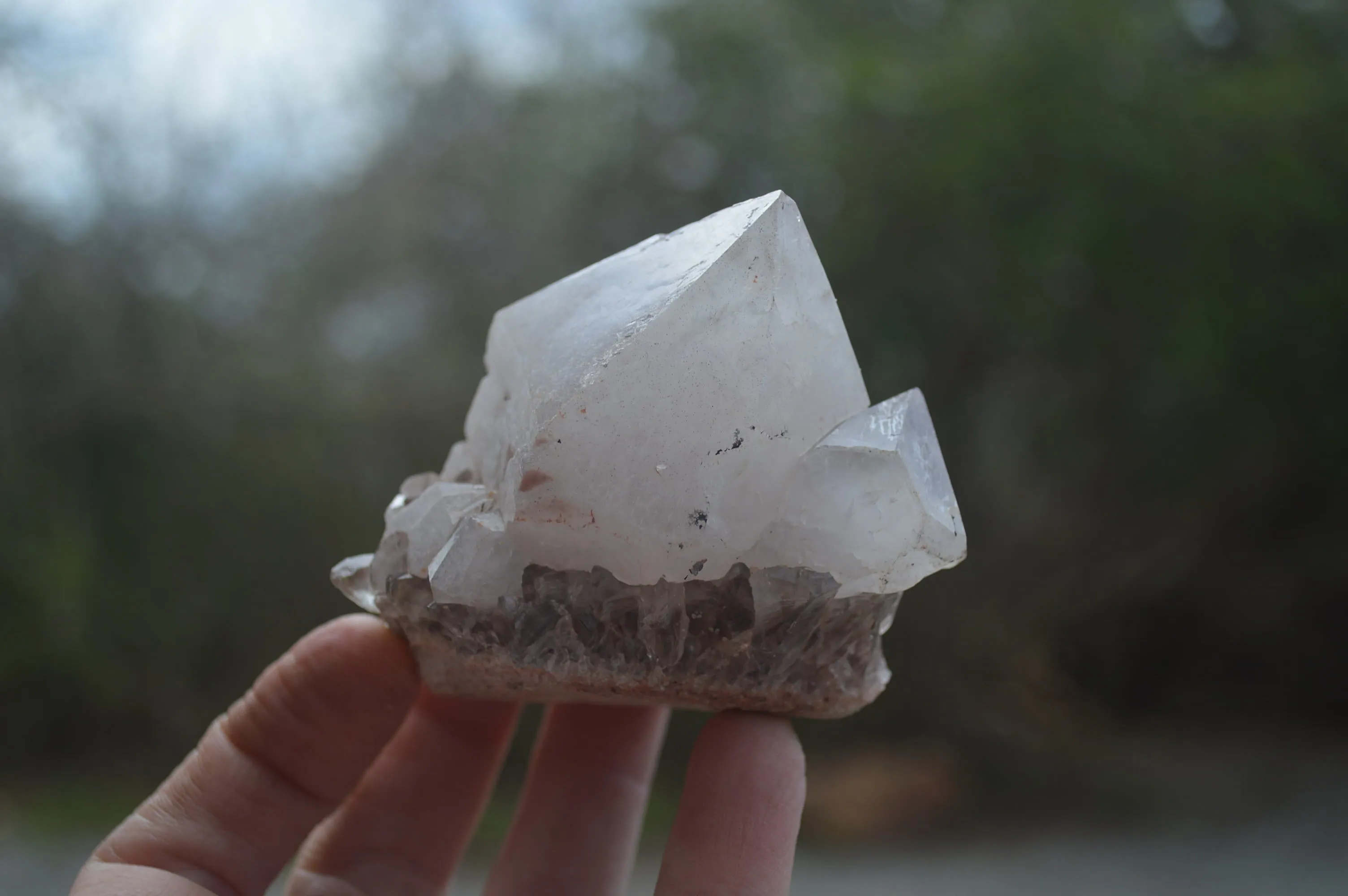 Natural Hematite Coated Quartz Crystals x 12 From Madagascar