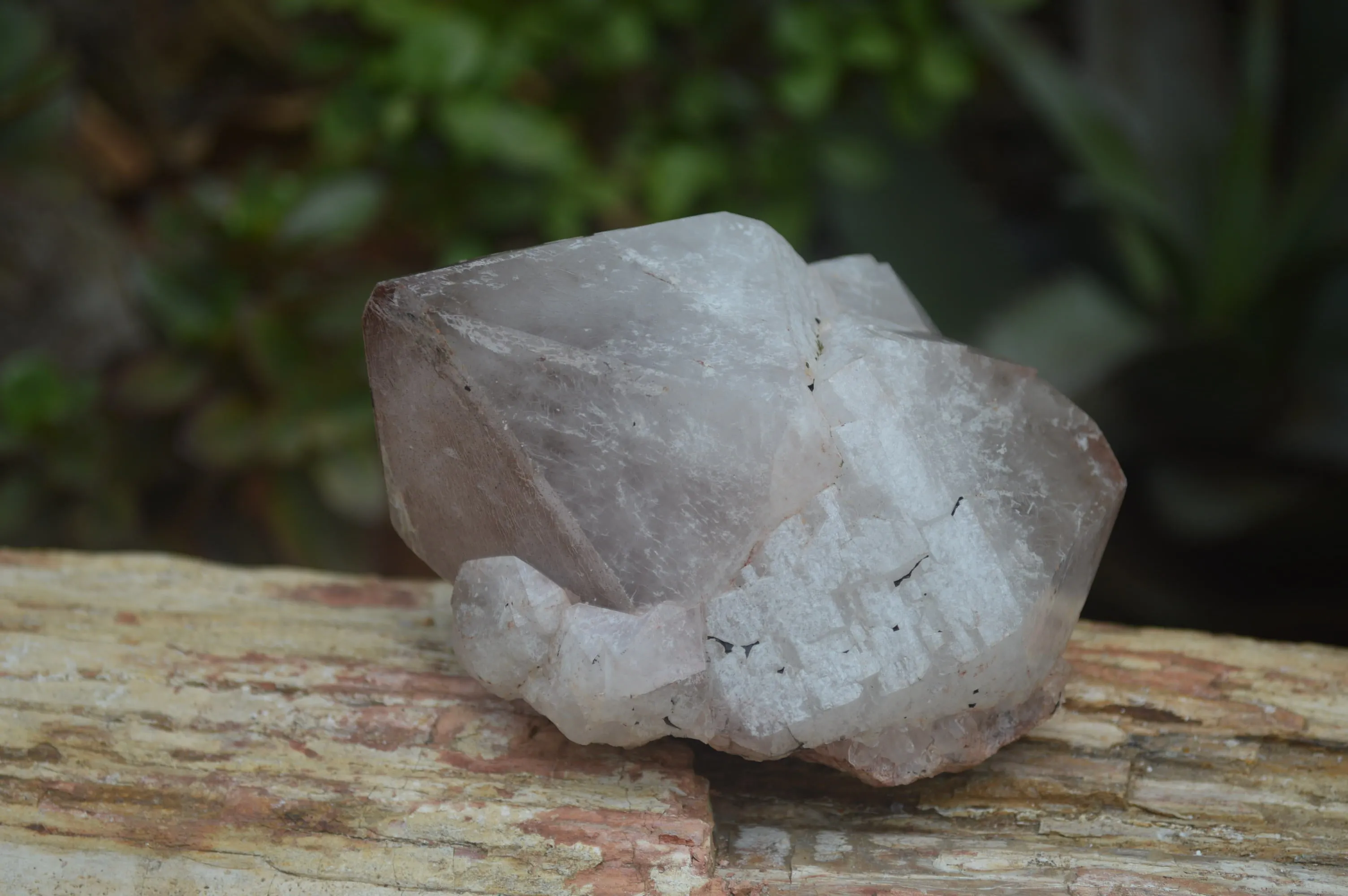 Natural Hematite Coated Quartz Crystals x 12 From Madagascar