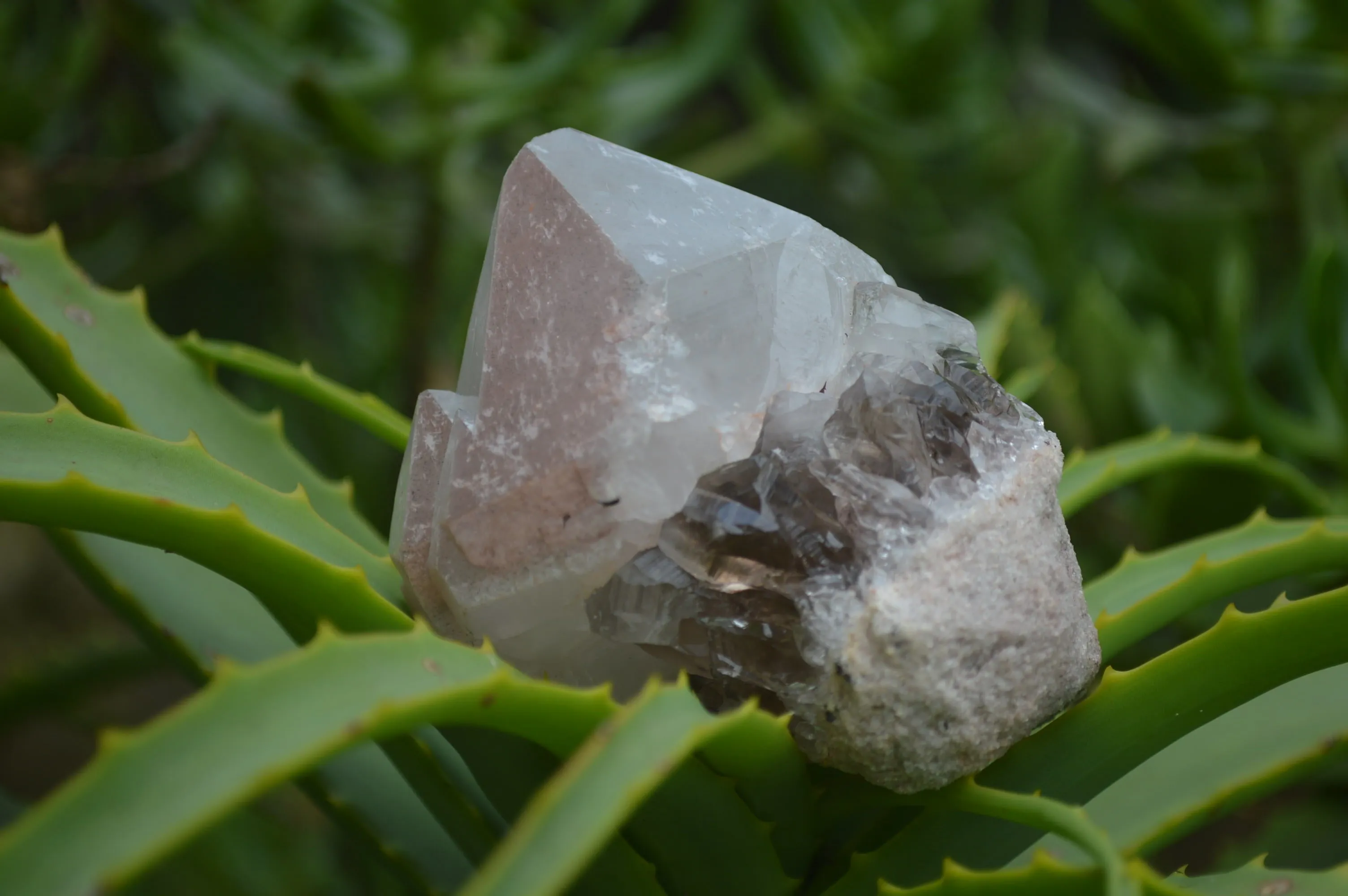 Natural Hematite Coated Quartz Crystals x 12 From Madagascar