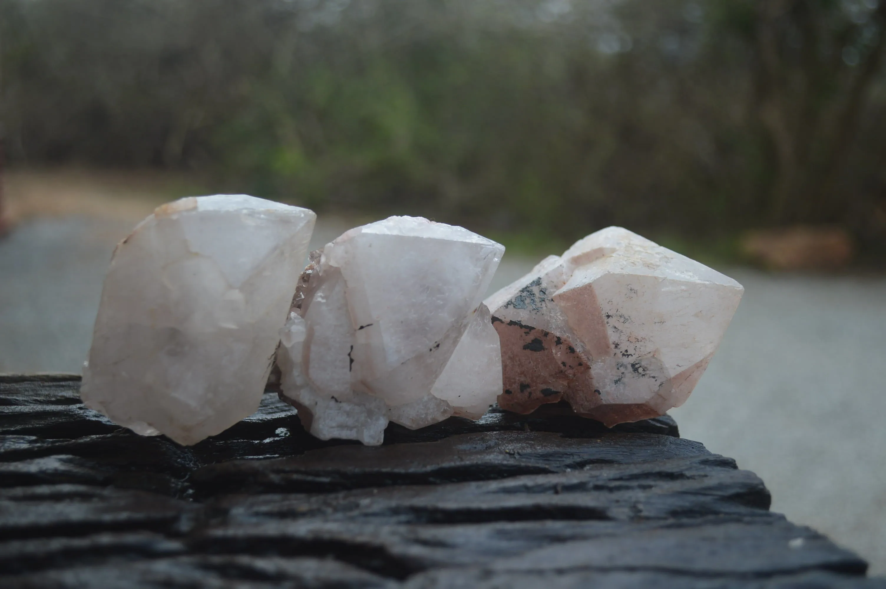 Natural Hematite Coated Quartz Crystals x 12 From Madagascar