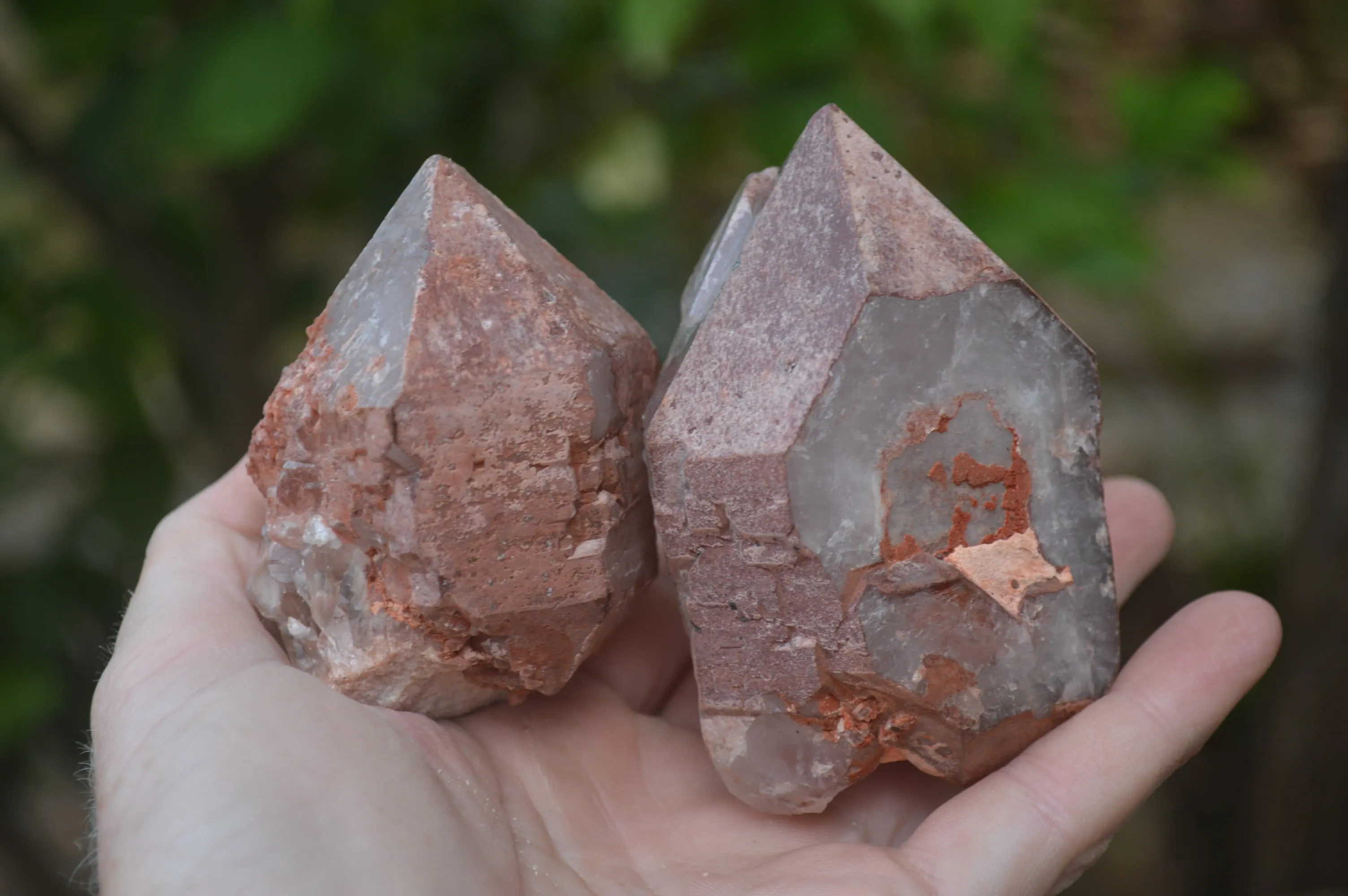 Natural Hematite Coated Quartz Crystals x 12 From Madagascar