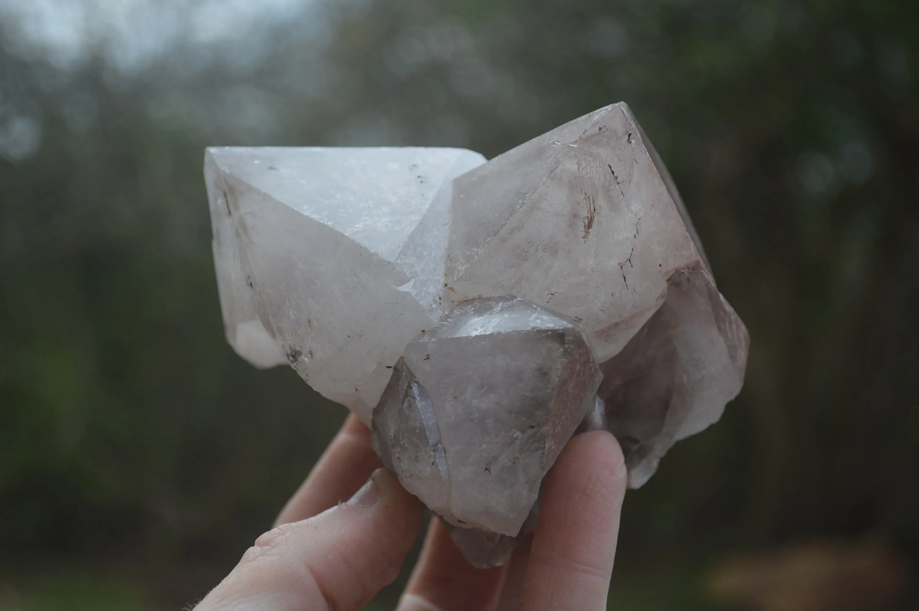 Natural Hematite Coated Quartz Crystals x 12 From Madagascar