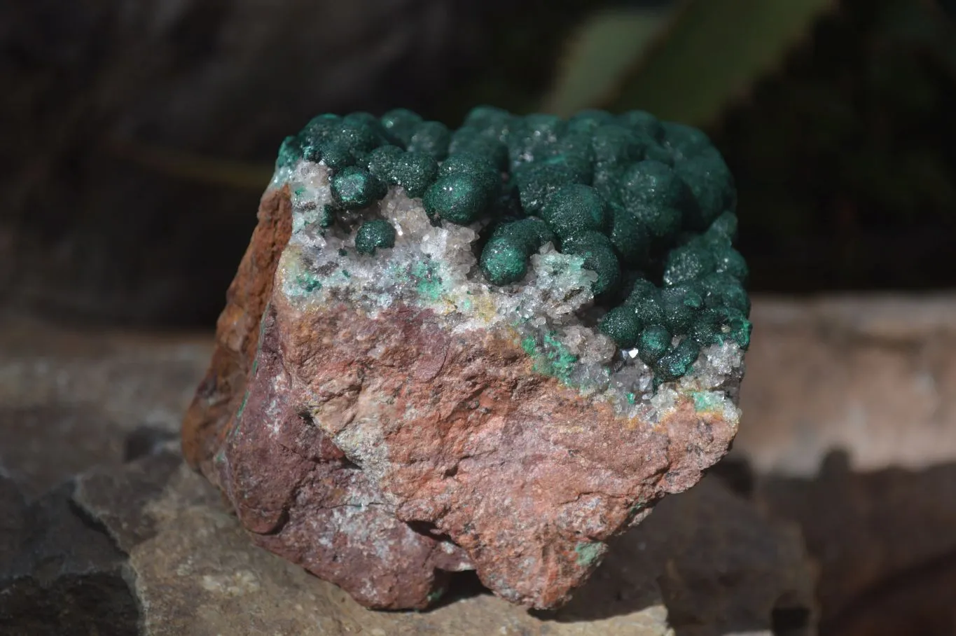 Natural Rare Ball Malachite On Drusy Limonite Quartz & Dolomite Matrix Specimens  x 2 From Kambove, Congo