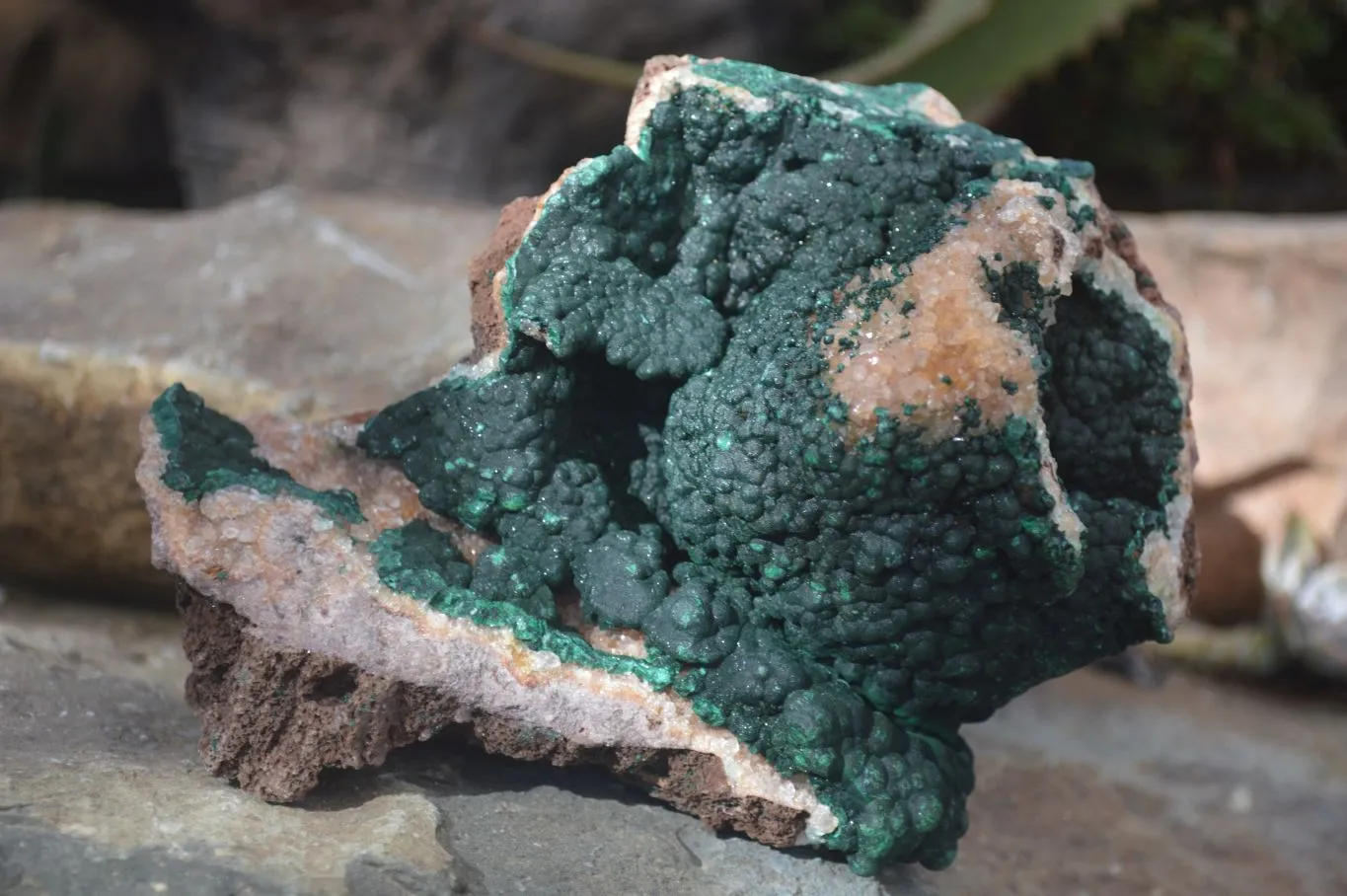 Natural Rare Ball Malachite On Drusy Limonite Quartz & Dolomite Matrix Specimens  x 2 From Kambove, Congo