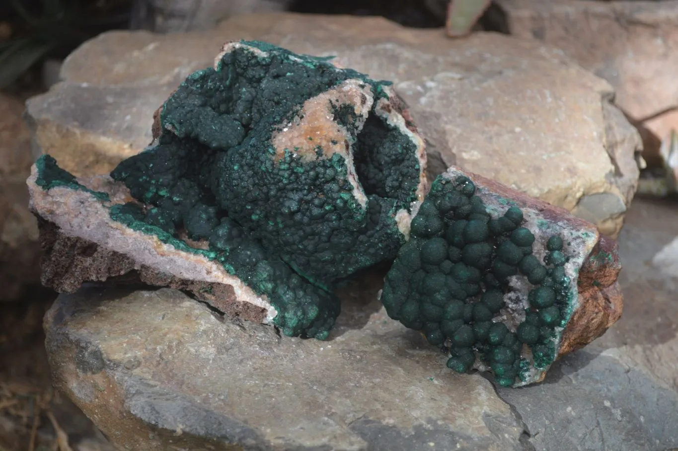 Natural Rare Ball Malachite On Drusy Limonite Quartz & Dolomite Matrix Specimens  x 2 From Kambove, Congo