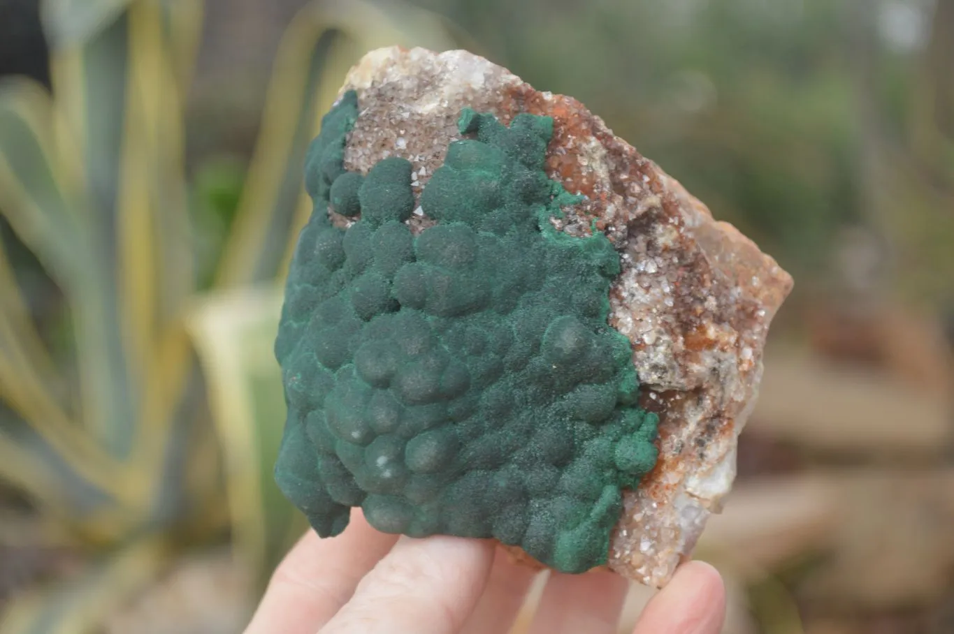 Natural Rare Ball Malachite On Drusy Quartz & Dolomite Specimens x 2 From Kambove, Congo