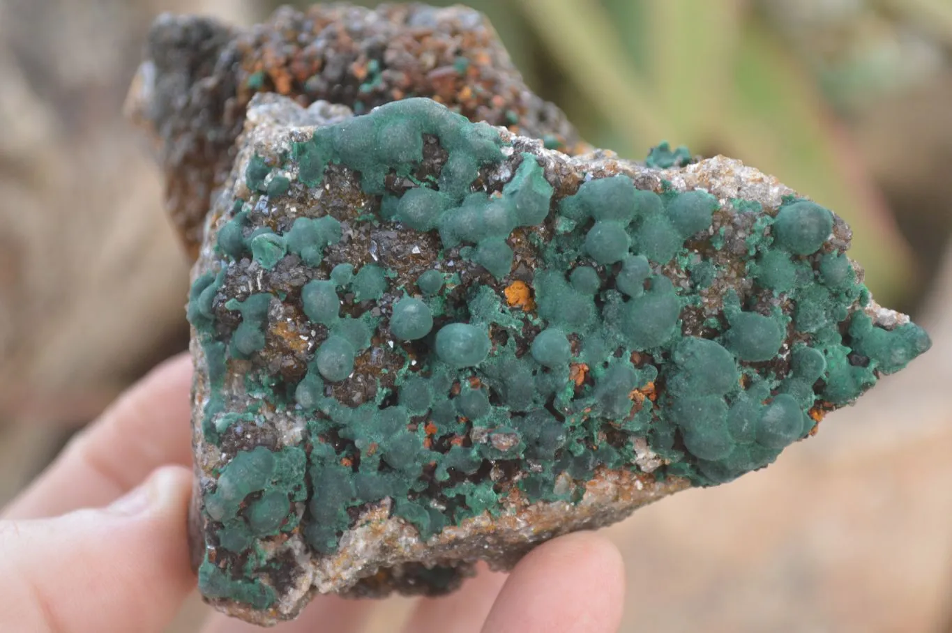 Natural Rare Ball Malachite On Drusy Quartz & Dolomite Specimens x 2 From Kambove, Congo