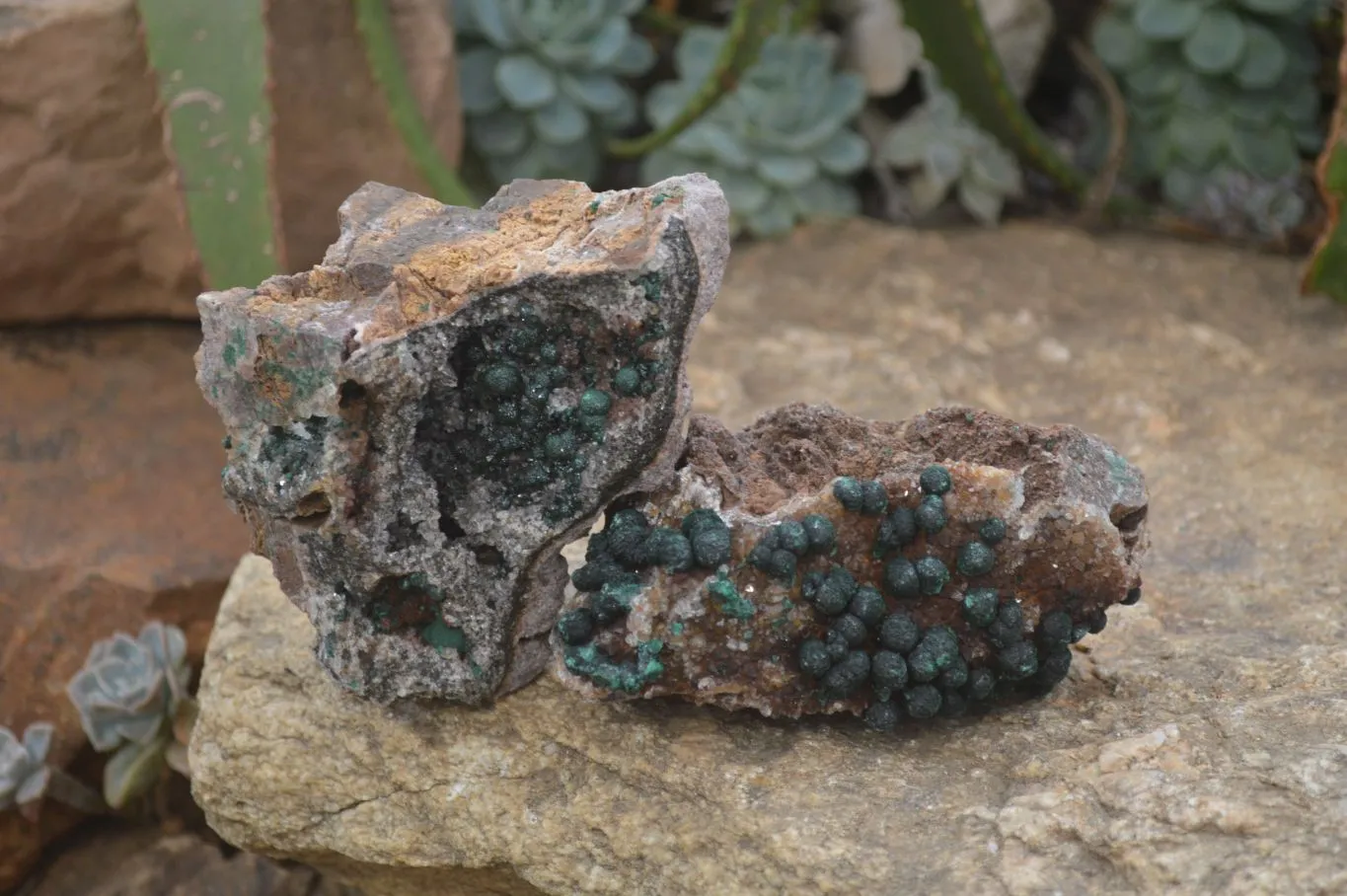 Natural Rare Ball Malachite On Drusy Quartz Dolomite Specimens x 2 From Congo