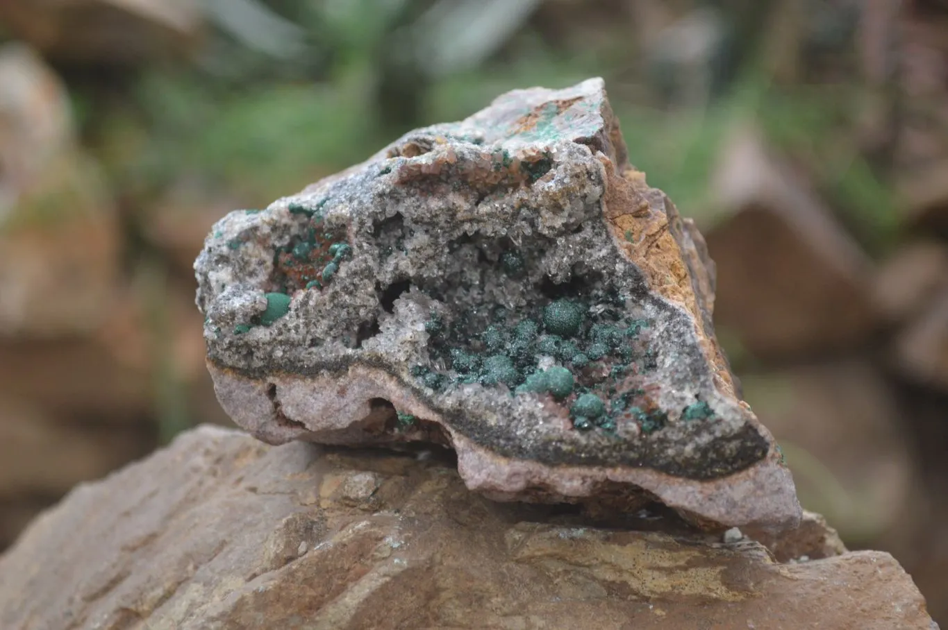 Natural Rare Ball Malachite On Drusy Quartz Dolomite Specimens x 2 From Congo