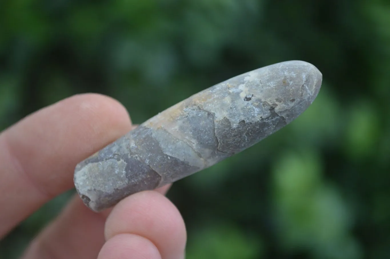 Natural Rare Malagasy Belemnite Fossils x 35 From Maintirano, Madagascar