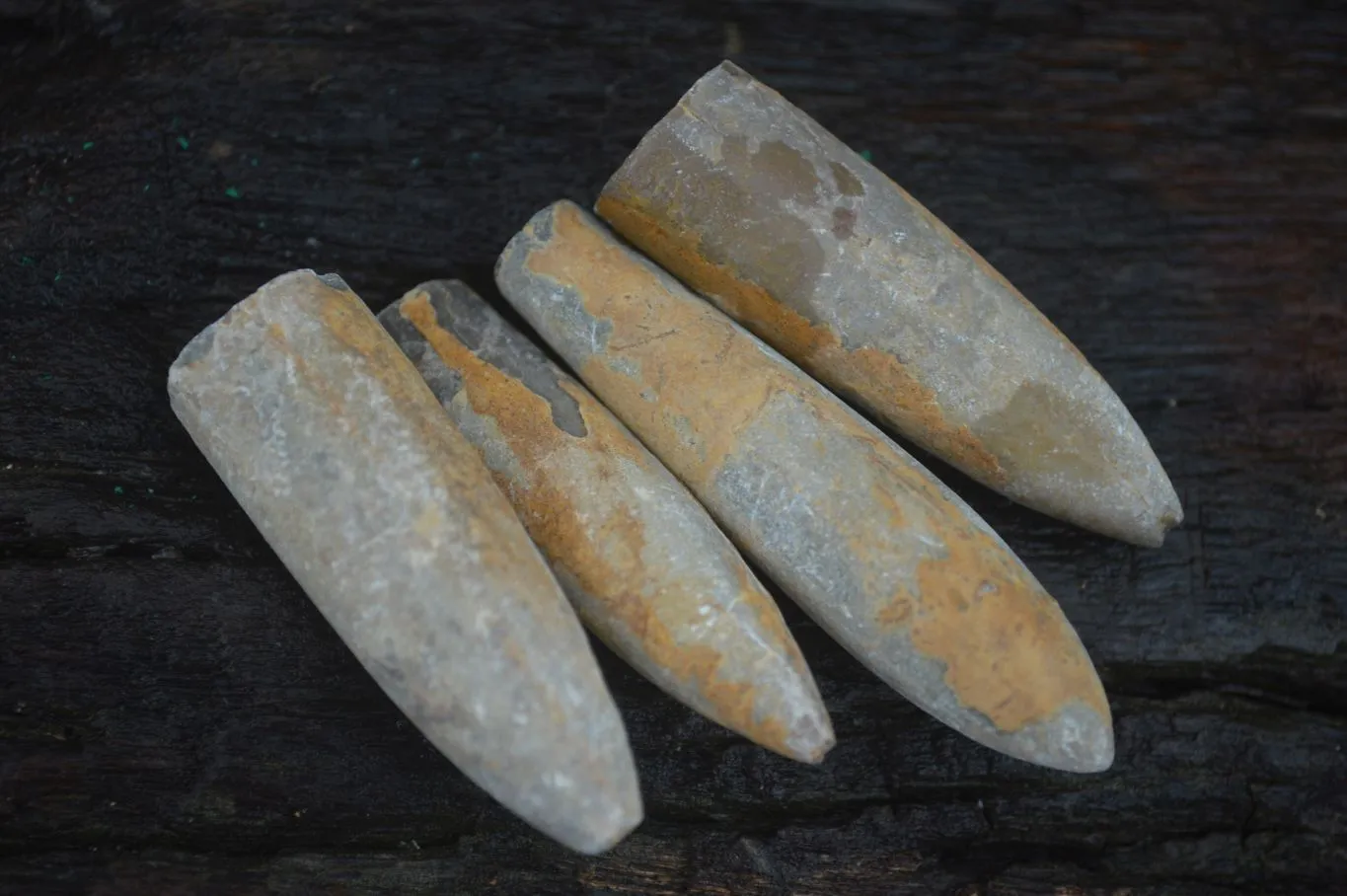 Natural Rare Malagasy Belemnite Fossils x 35 From Maintirano, Madagascar