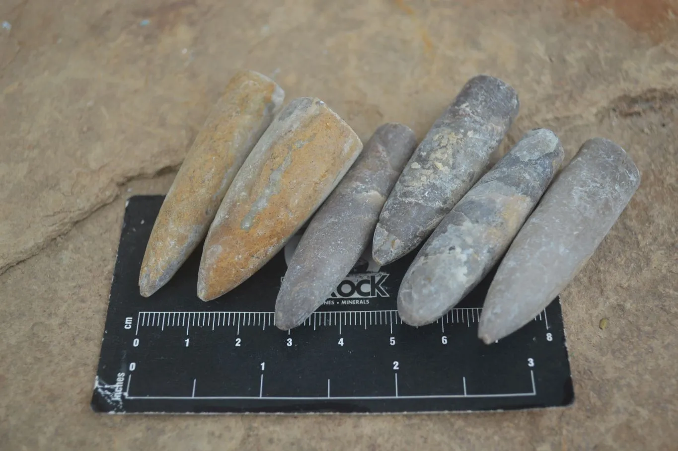 Natural Rare Malagasy Belemnite Fossils x 35 From Maintirano, Madagascar