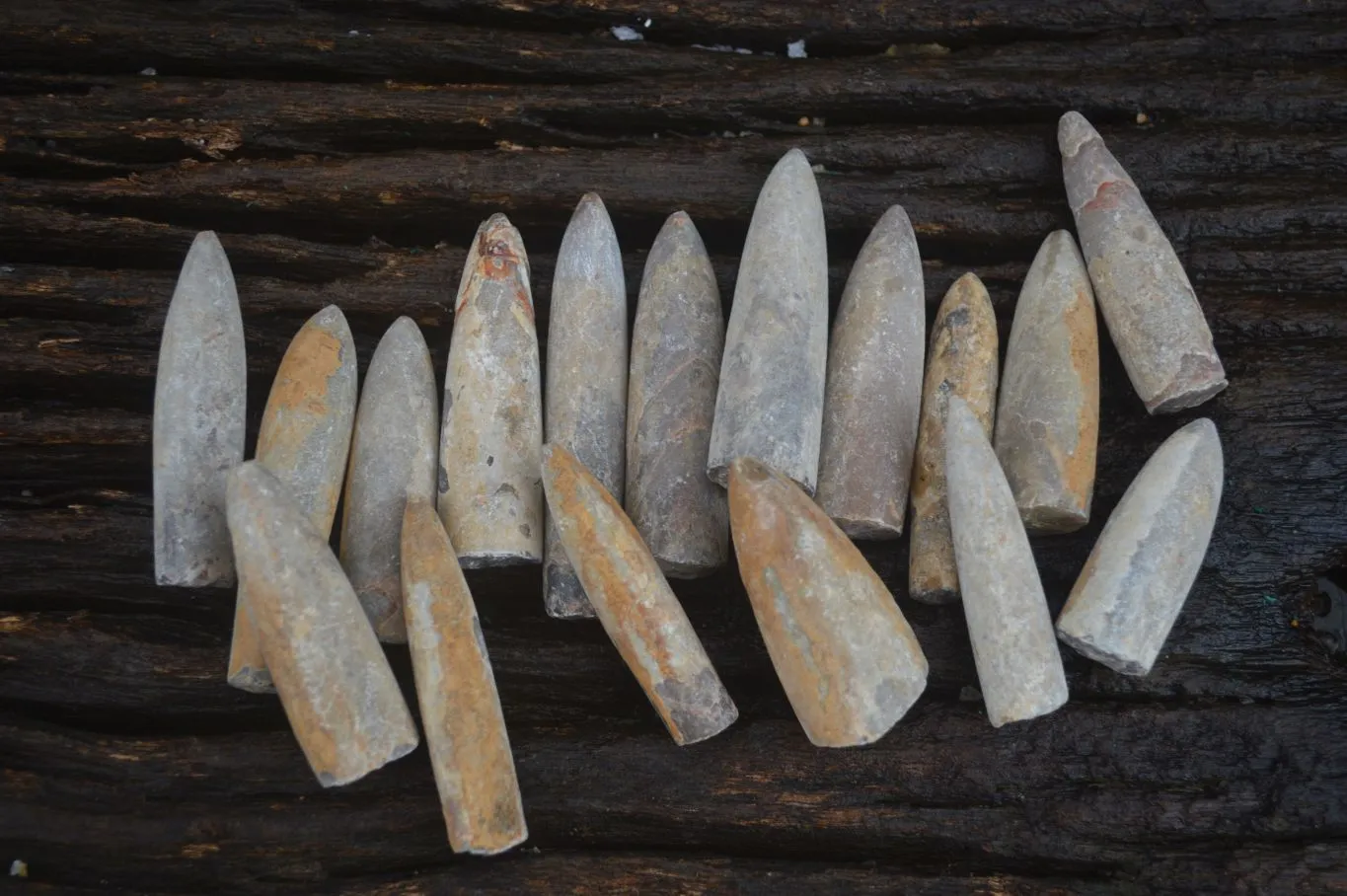 Natural Rare Malagasy Belemnite Fossils x 35 From Maintirano, Madagascar