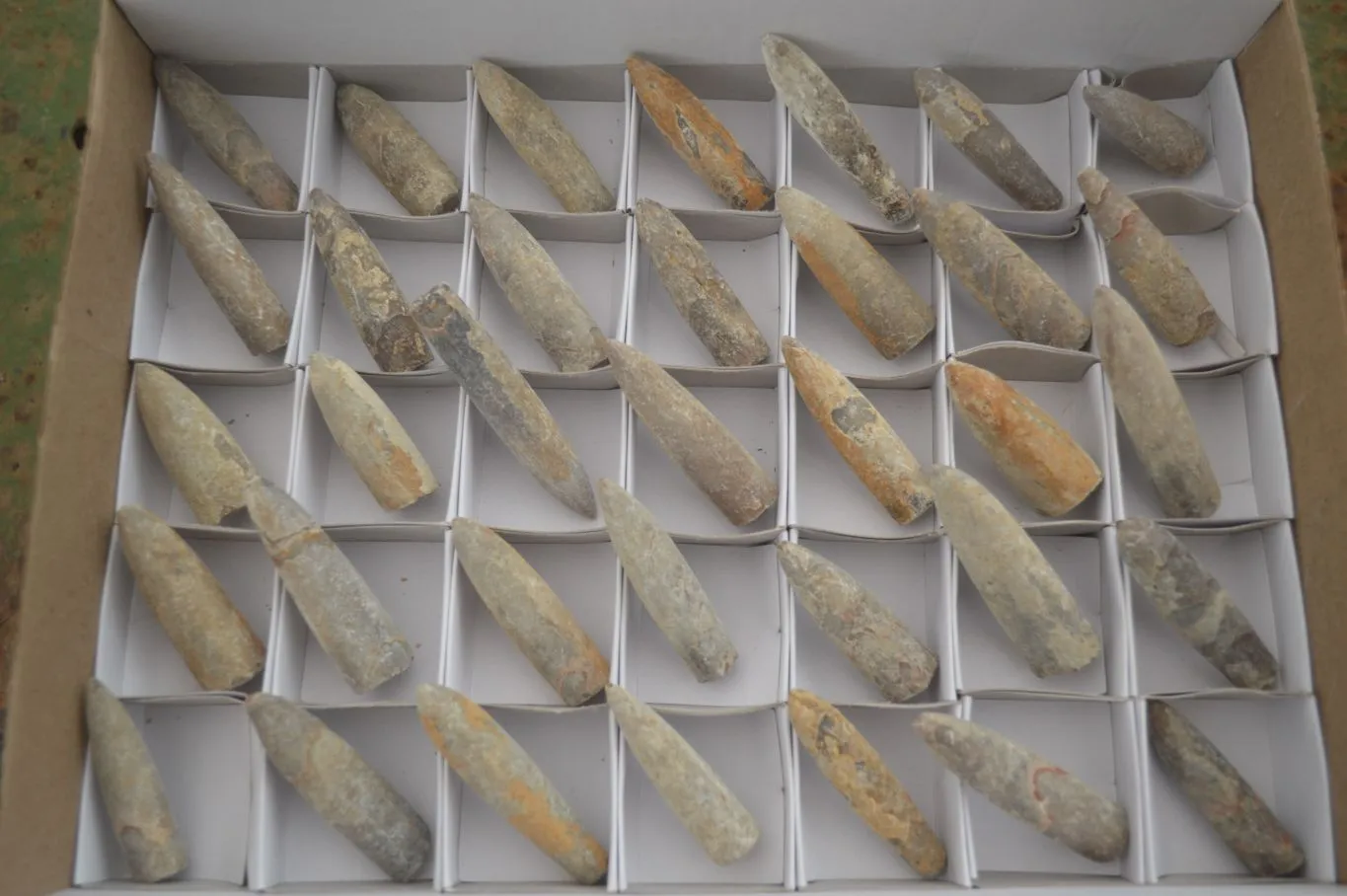 Natural Rare Malagasy Belemnite Fossils x 35 From Maintirano, Madagascar