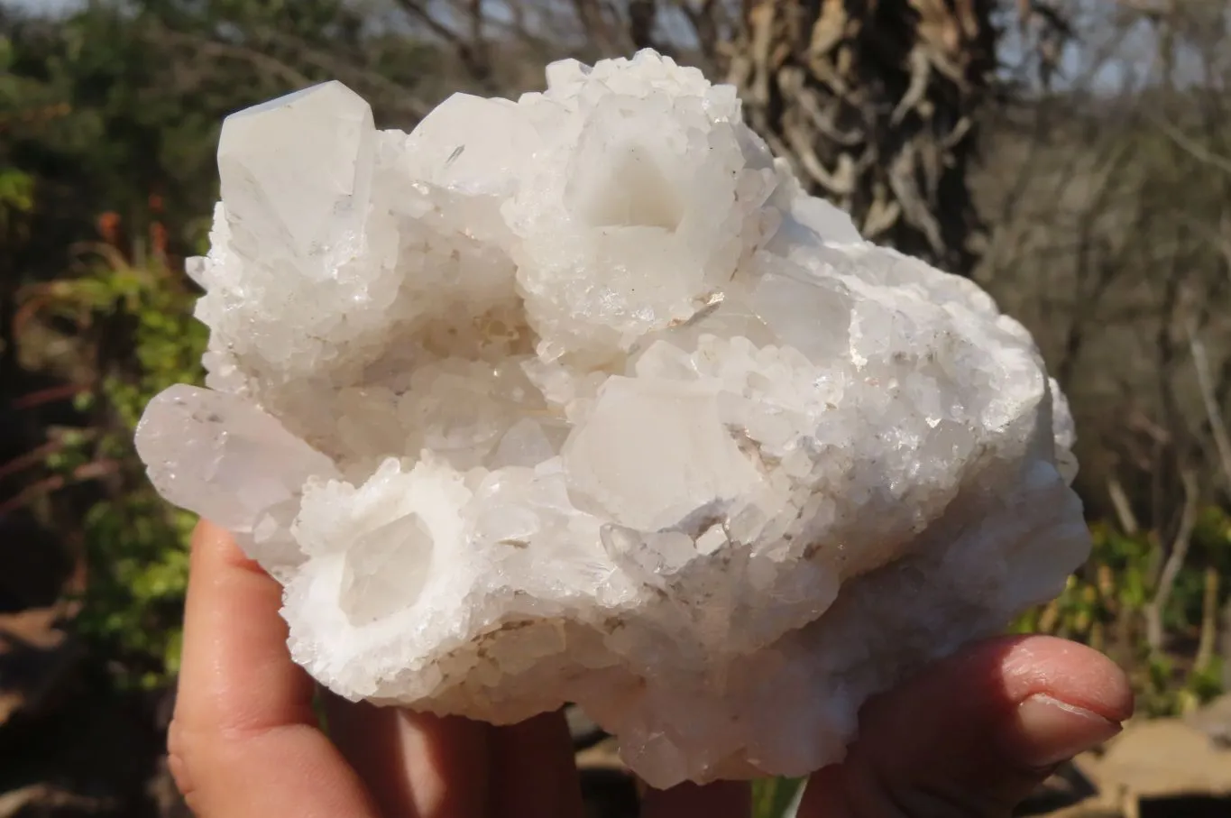 Natural Rare Sugar Quartz Clusters x 2 From Ambatfinhandrana, Madagascar