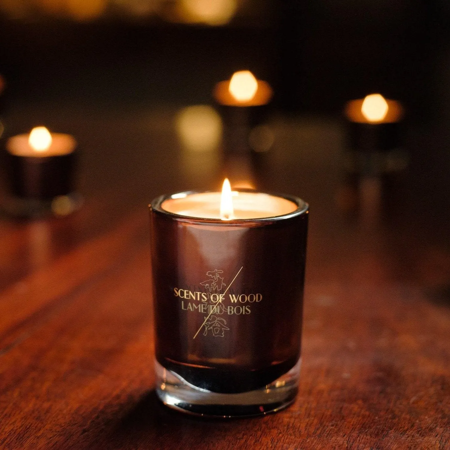 Oud in Acacia 225g Candle