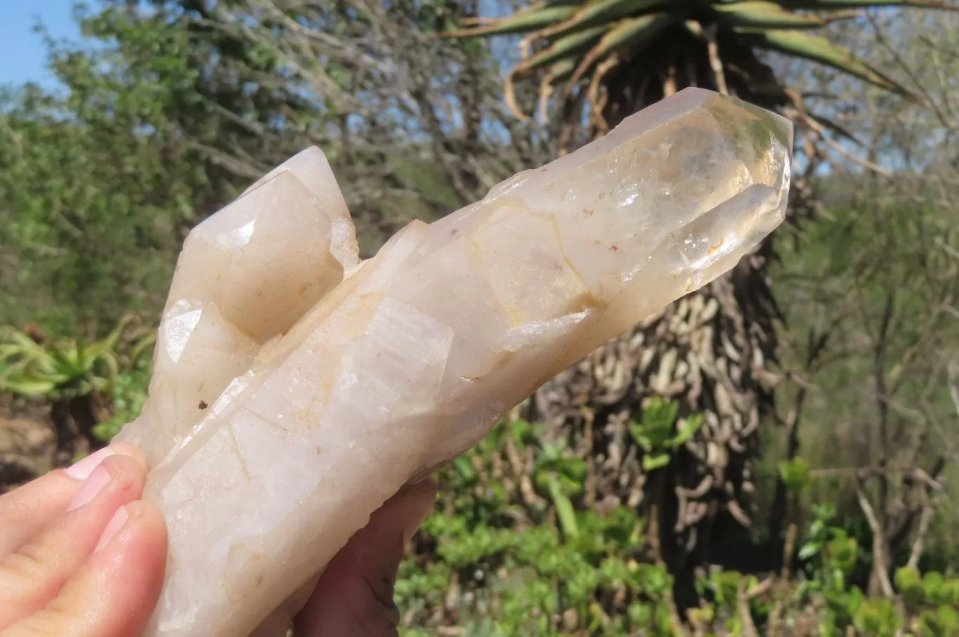 Polished Partially Quartz Crystals x 2 From Angola